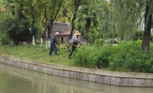 昆山工廠綠化養(yǎng)護(hù):防治園林樹木凍害五法